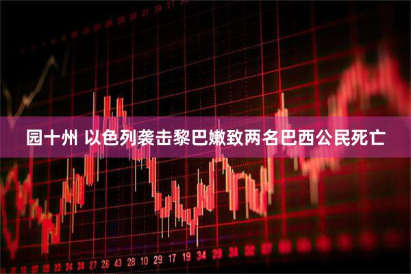 园十州 以色列袭击黎巴嫩致两名巴西公民死亡